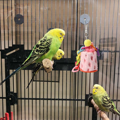 2pcs Parrot Chew Toys Natural Bird Beak Calcium Treats