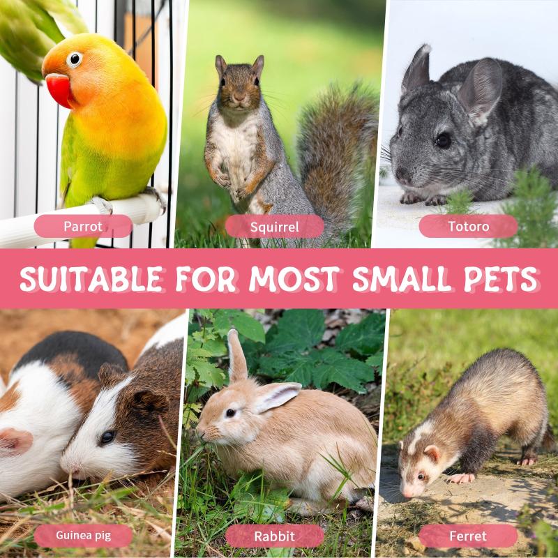 2pcs Parrot Chew Toys Natural Bird Beak Calcium Treats