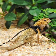 Adjustable Bearded Dragon Harness and Leash for Small Reptiles