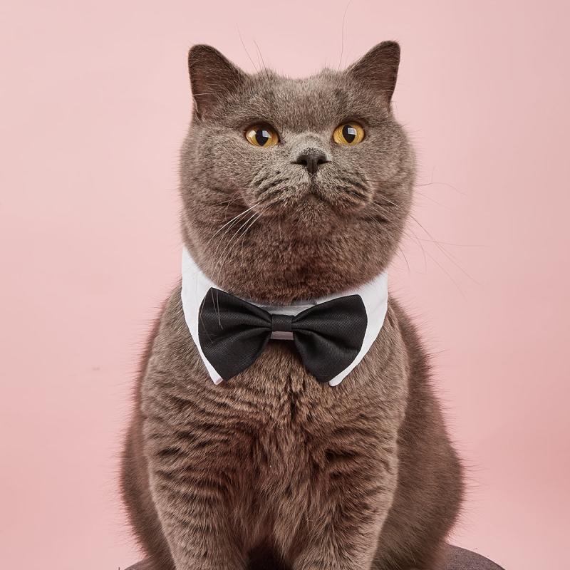 Formal Pet Bowtie Collar for Dogs & Cats Adjustable Neck Tie