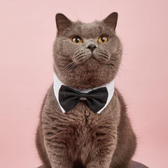 Formal Pet Bowtie Collar for Dogs & Cats Adjustable Neck Tie