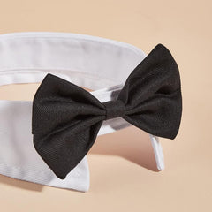 Formal Pet Bowtie Collar for Dogs & Cats Adjustable Neck Tie