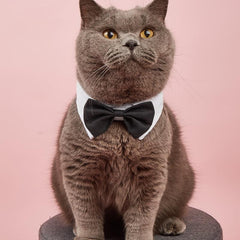 Formal Pet Bowtie Collar for Dogs & Cats Adjustable Neck Tie