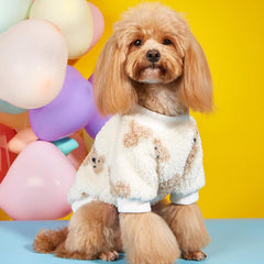 Cartoon Bear Graphic Pet Plush Sweater Dog Warm Clothes