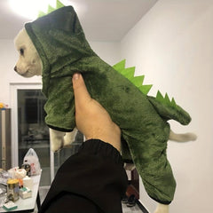 Dino Mite Pet Costume for Small Dogs and Cats