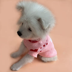 Turtleneck Knit Pet Dog Sweater Coat Apparel For Autumn And Winter