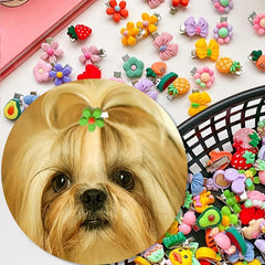 5Pcs Pet Hair Clips Dog Cat Hair Decoration Assorted Varieties