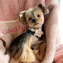 Dog Necklace with Flower Decor and Bell - Stylish Pet Collar