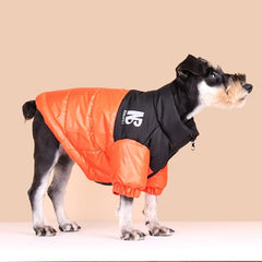 Reflective Letter Graphic Dog Coat Zip Up Thick Padded Jacket