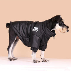 Reflective Letter Graphic Dog Coat Zip Up Thick Padded Jacket