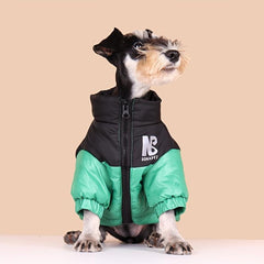 Reflective Letter Graphic Dog Coat Zip Up Thick Padded Jacket