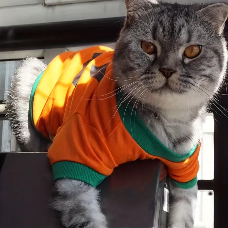 Halloween Pet Dress Up Costume Pumpkin Dog Sweatshirt