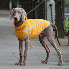Reflective Big Dog Outdoor Charge Coat Warm Pet Clothing Specifically Jacket
