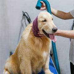 Pet Earmuffs and Neck Warmer Combo for Dog Comfort