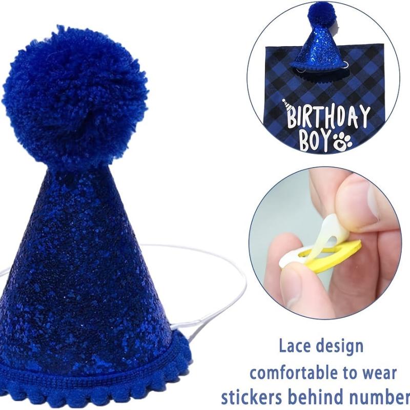 Adorable Pet Birthday Party Suit