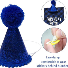 Adorable Pet Birthday Party Suit