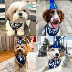Adorable Pet Birthday Party Suit