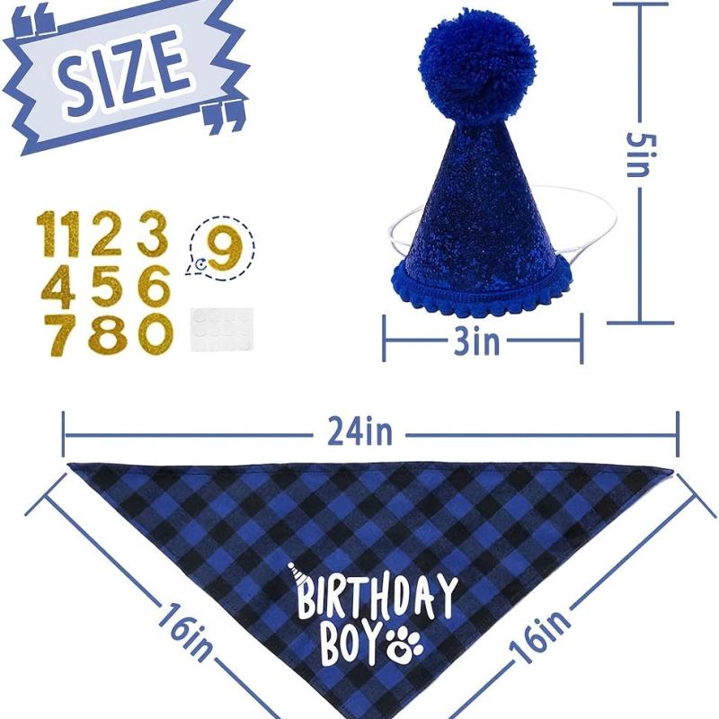 Adorable Pet Birthday Party Suit