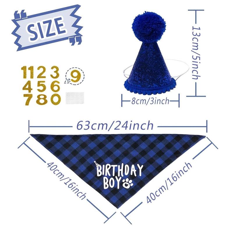 Adorable Pet Birthday Party Suit