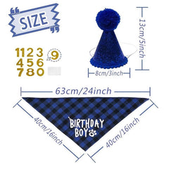 Adorable Pet Birthday Party Suit