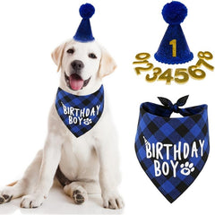 Adorable Pet Birthday Party Suit