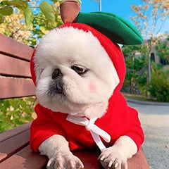 Fruit Dog Hoodie Winter Warm Fleece Pet Clothes For Dogs