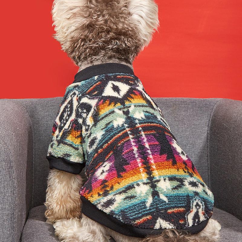 Ethnic Style Graphic Pet Thickened Plush Sweater for Autumn and Winter