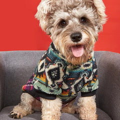 Ethnic Style Graphic Pet Thickened Plush Sweater for Autumn and Winter