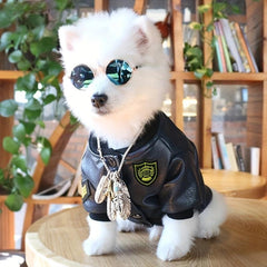 Dog Leather Clothing Pet Warm Clothes Cat Outdoor Apparel Padded Camping Jacket