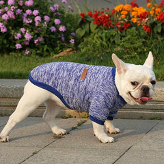 Dog Sweatshirt Cat Two Legs Sweater Pet Wool Clothing