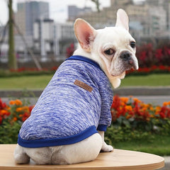 Dog Sweatshirt Cat Two Legs Sweater Pet Wool Clothing