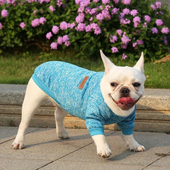 Dog Sweatshirt Cat Two Legs Sweater Pet Wool Clothing