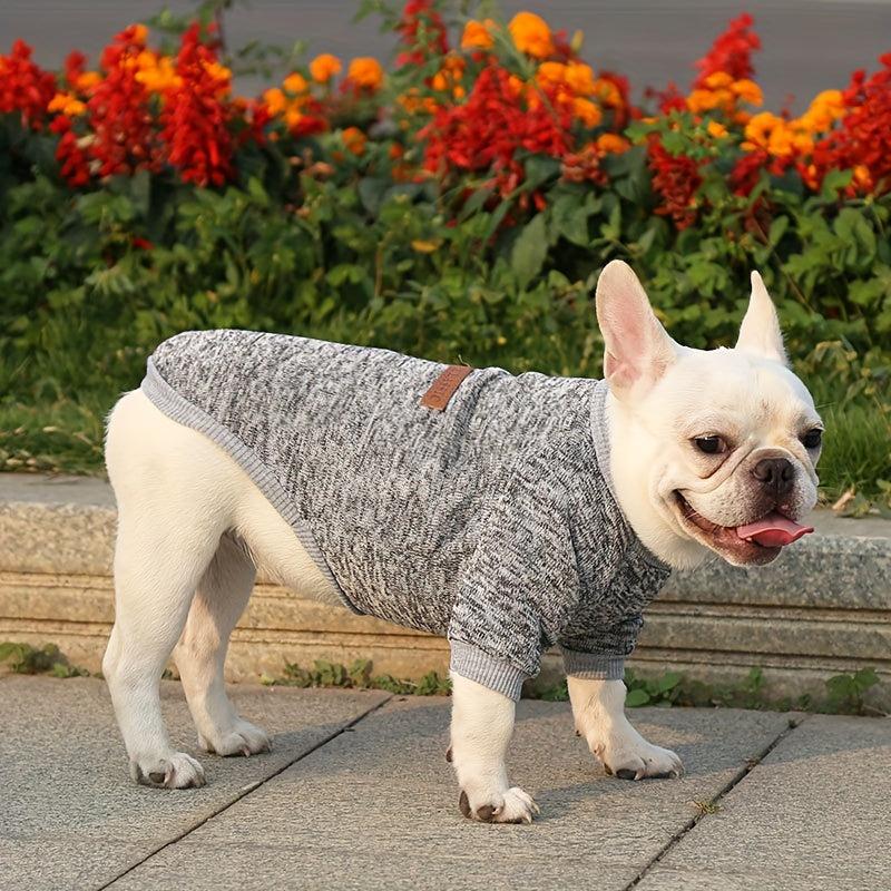 Dog Sweatshirt Cat Two Legs Sweater Pet Wool Clothing
