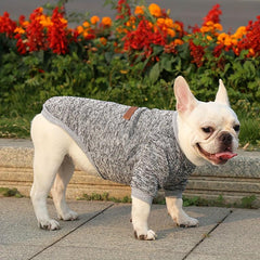 Dog Sweatshirt Cat Two Legs Sweater Pet Wool Clothing