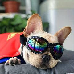 Adjustable Dog Sunglasses Windproof Sunscreen Goggles