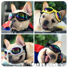 Adjustable Dog Sunglasses Windproof Sunscreen Goggles