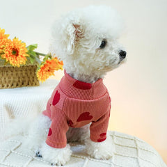 Heart Graphic Pet Turtle Neck Sweater For Autumn And Winter