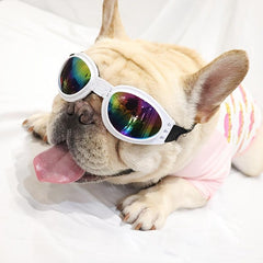 Foldable Pet Sunglasses For Dogs And Cats Stylish And Durable Pet Accessories