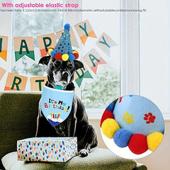 Dog Birthday Bandana Hat Scarf