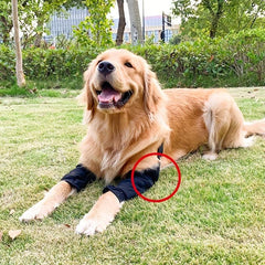 Pet Knee Guard Dog Elbow Pad Waterproof Joint Sleeve