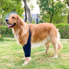 Pet Knee Guard Dog Elbow Pad Waterproof Joint Sleeve