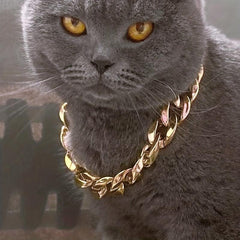 Stylish Dog Choke Chain Necklace Pet Collar for Dogs and Cats