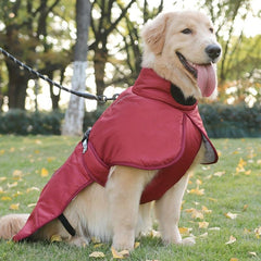 Pet Winter Cotton Dog Clothes Zipper Jacket