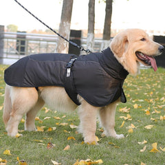 Pet Winter Cotton Dog Clothes Zipper Jacket