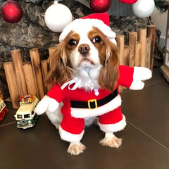 Funny Santa Claus Cat Clothes For Small And Medium Dogs