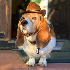 Adjustable Pet Cowboy Hat for Dogs and Cats