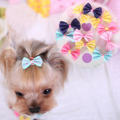 Pet Hair Accessories 3pcs 10pcs Dog Bowknot Hair Clip For Dogs & Cats