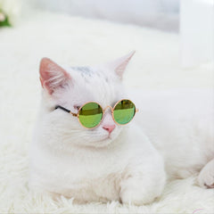 Round Sunglasses for Pets - Cat Glasses for Kitten and Dog
