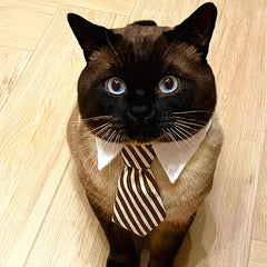 Pet Neck Tie Gentleman Style Bowtie For Weeding Party