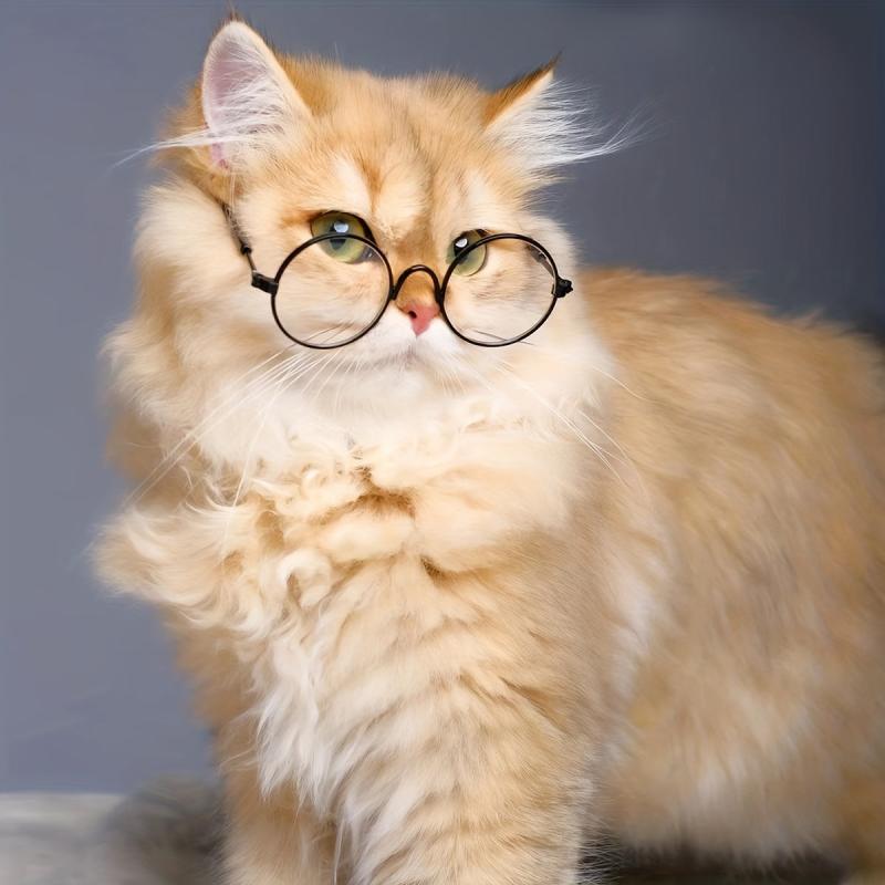 Pet Glasses for Dogs and Cats - Fun and Stylish Pet Accessories